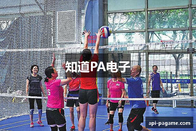 知道PA电子